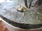 Bronze "True Blue" Wildlife Sculpture by W.Stanley Proctor 